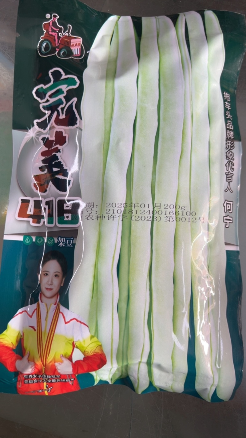 完美418四季豆种子白绿条产量高不鼓籽商品性好