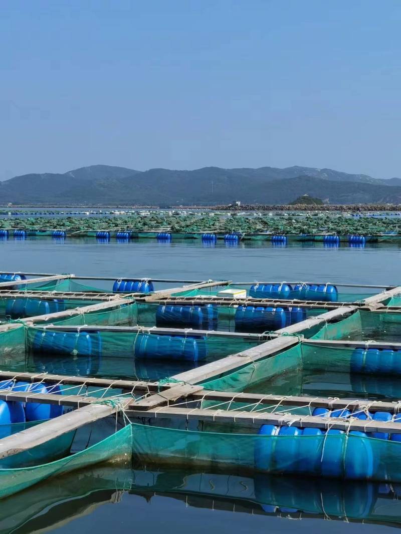 海参养殖网，色母及抗老化剂独有配方，日产5000+