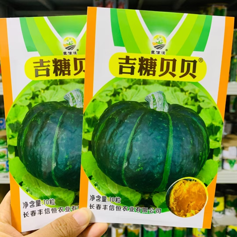 上海日本惠和一号贝贝南瓜种子种籽孑蔬菜板栗味贝贝南瓜种子