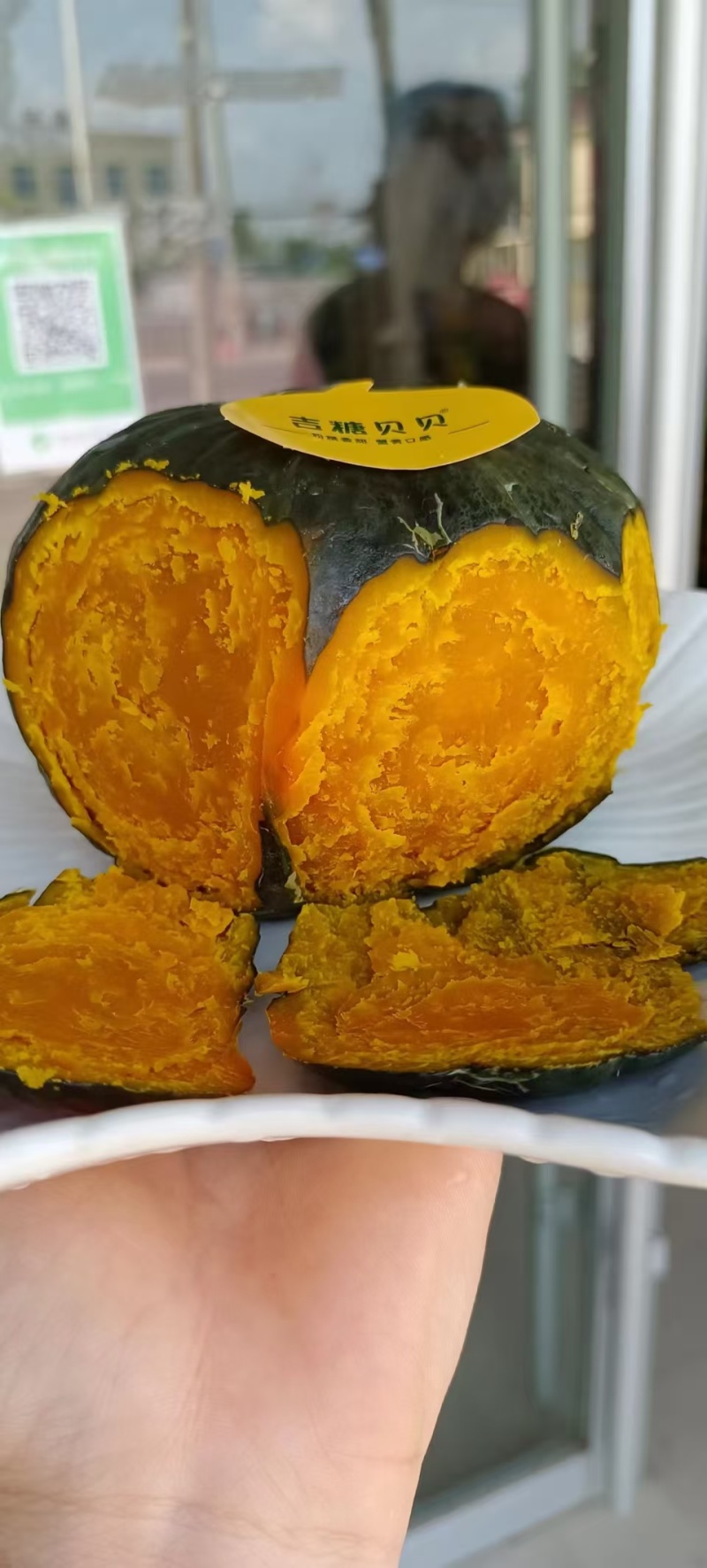 上海日本惠和一号贝贝南瓜种子种籽孑蔬菜板栗味贝贝南瓜种子
