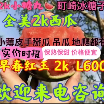 2k小吊瓜，全美2k西瓜，牛奶小吊瓜，早春红玉小西瓜。