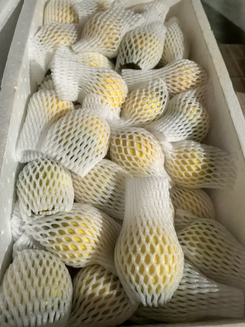 黄晶果