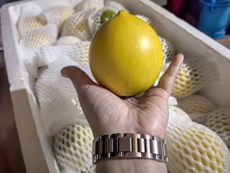 黄晶果