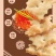 惊奇脆不规则饼干批发