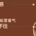 惊奇脆不规则饼干批发