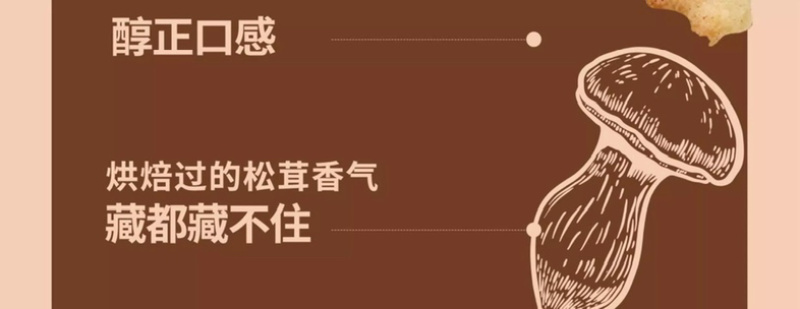 惊奇脆不规则饼干批发
