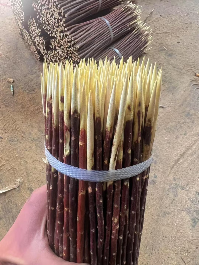 红柳签子