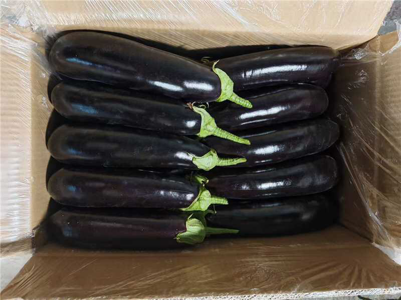 茄子支持视频看货，可发往全国市场