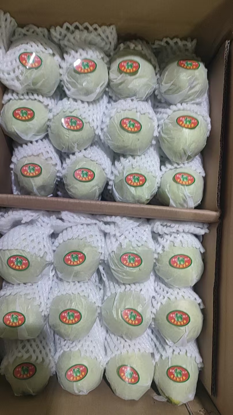 新疆库尔勒香梨皮薄水多酥脆可口大量现货供应