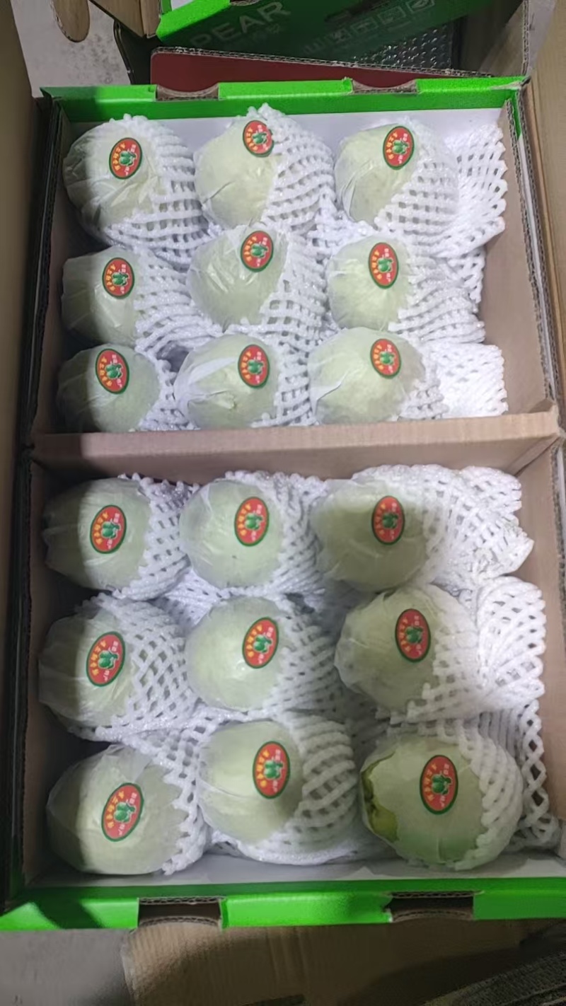 新疆库尔勒香梨皮薄水多酥脆可口大量现货供应