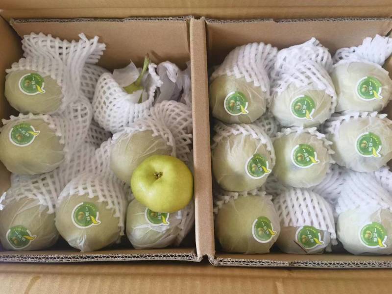 新疆库尔勒香梨皮薄水多酥脆可口大量现货供应