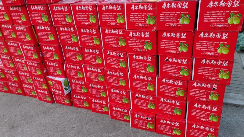 新疆库尔勒香梨皮薄水多酥脆可口大量现货供应