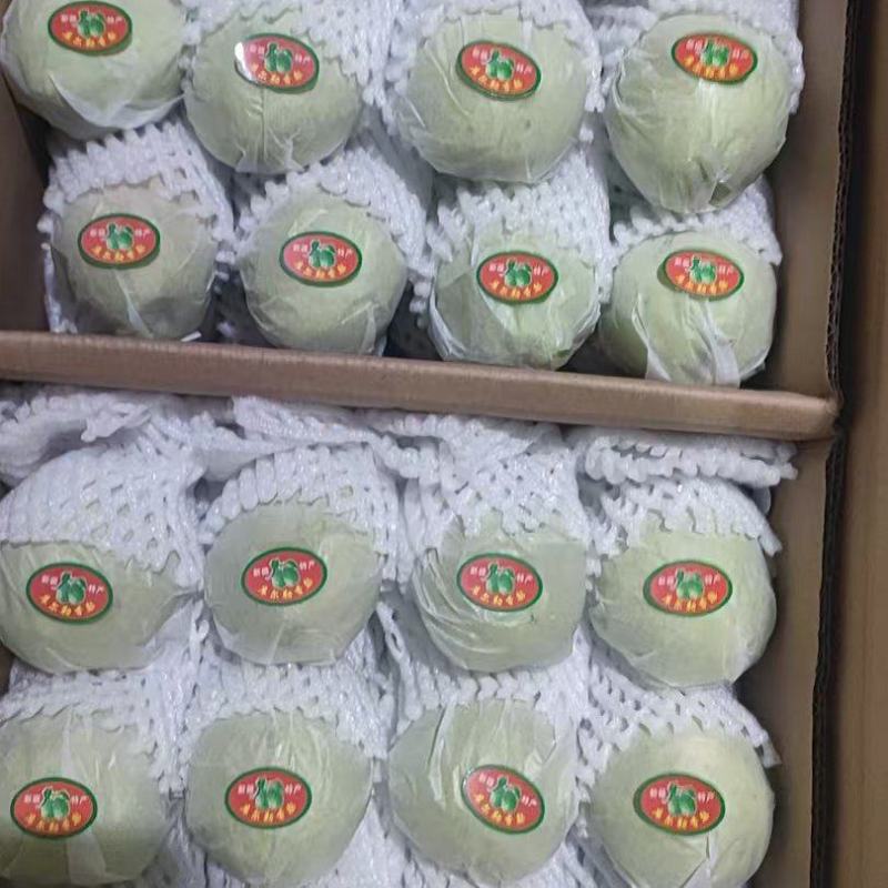 新疆库尔勒香梨皮薄水多酥脆可口大量现货供应