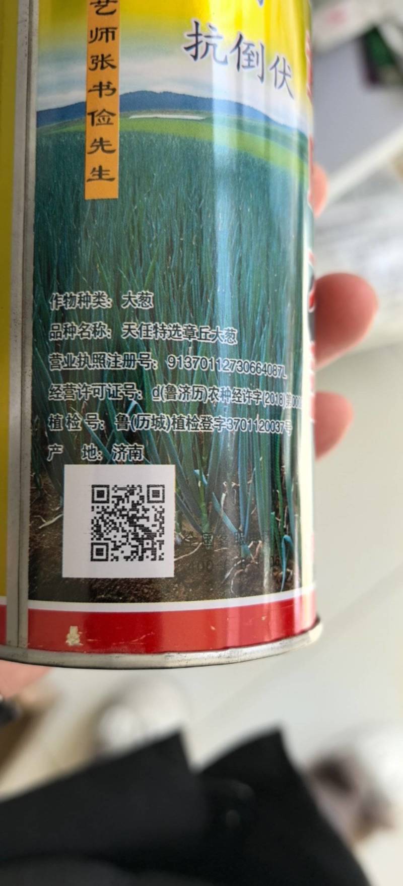 章丘大葱种子大梧桐抗病强山东大葱产量高葱白长基地种