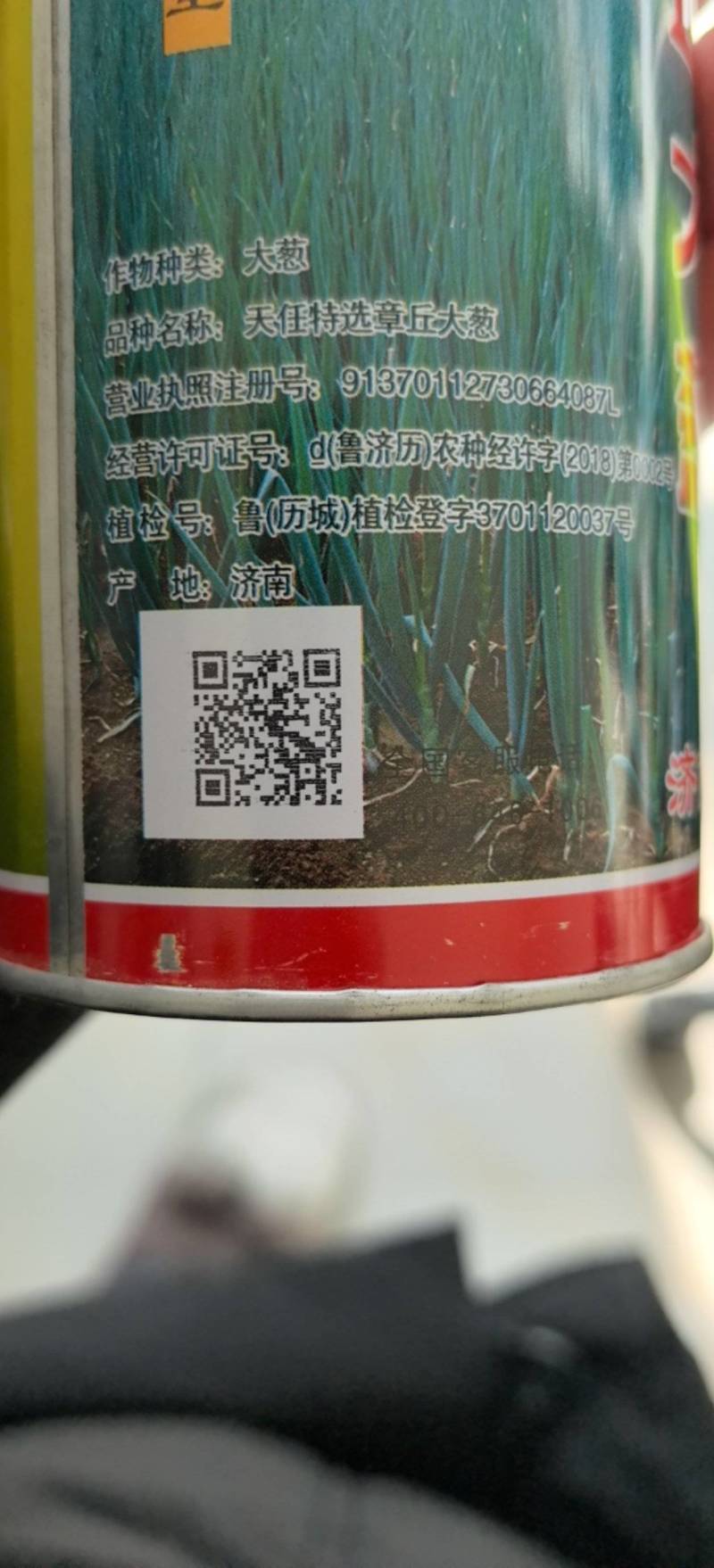 章丘大葱种子金杆100葱白长60-80厘米抗病葱农种