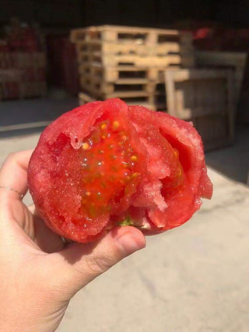 普罗旺斯西红柿产地直发水果柿子保质保量品质保证代发