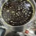 【牛商推荐】优质食用油菜籽油花生油大豆油质量保证