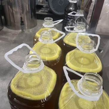 【牛商推荐】优质食用油菜籽油花生油大豆油质量保证