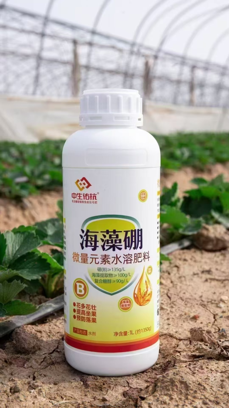 海藻硼硼肥海藻酸保花保果叶面肥厂家直销