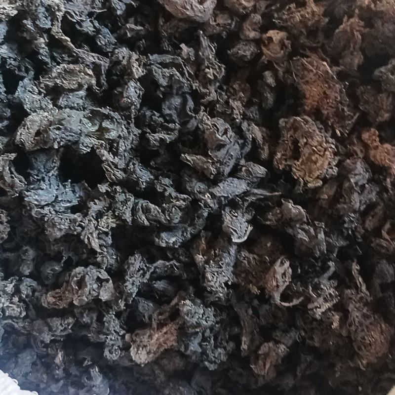 地皮菜，地软菜