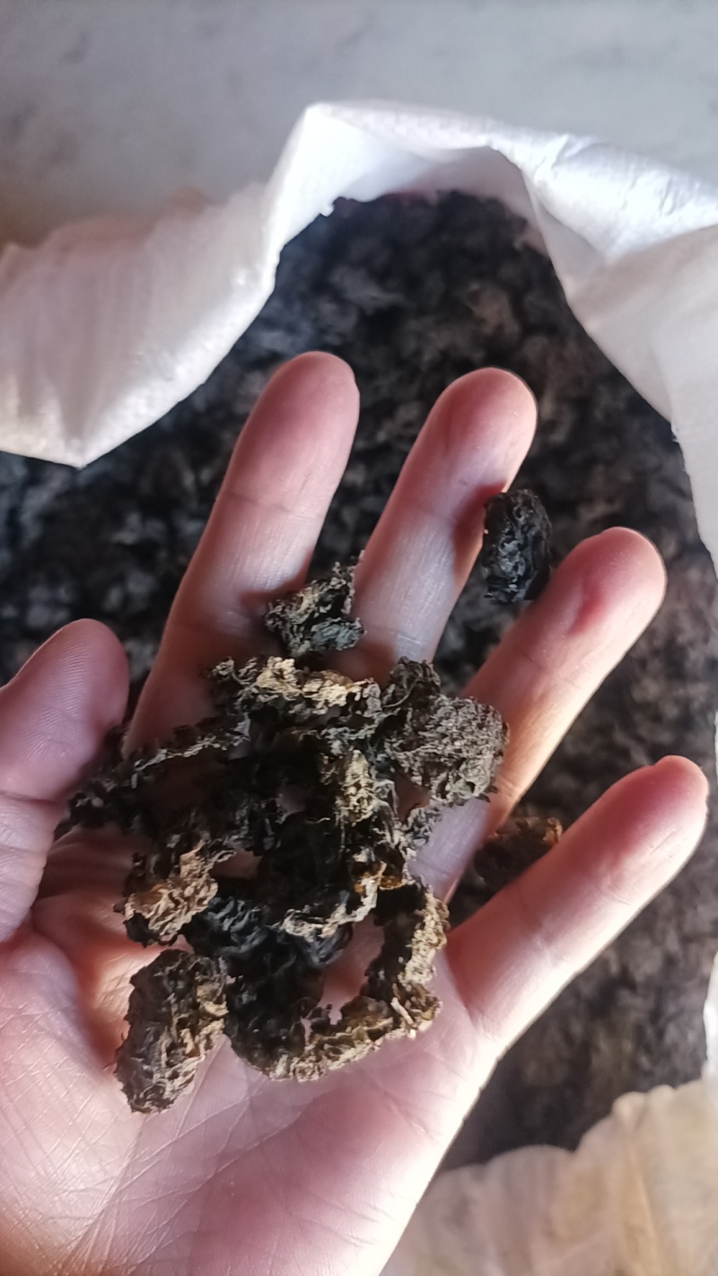 地皮菜，地软菜