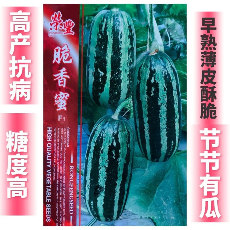 脆香蜜冰糖子甜掉牙博洋9号甜瓜种子早熟高产薄皮酥脆糖度高