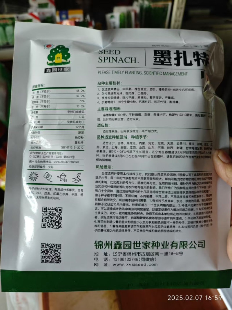 菠菜种
