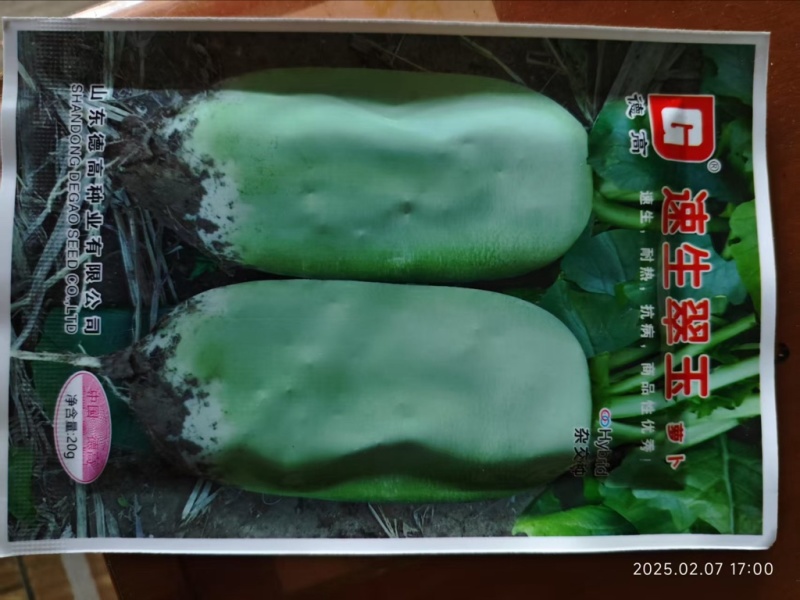 速生翠玉萝卜种