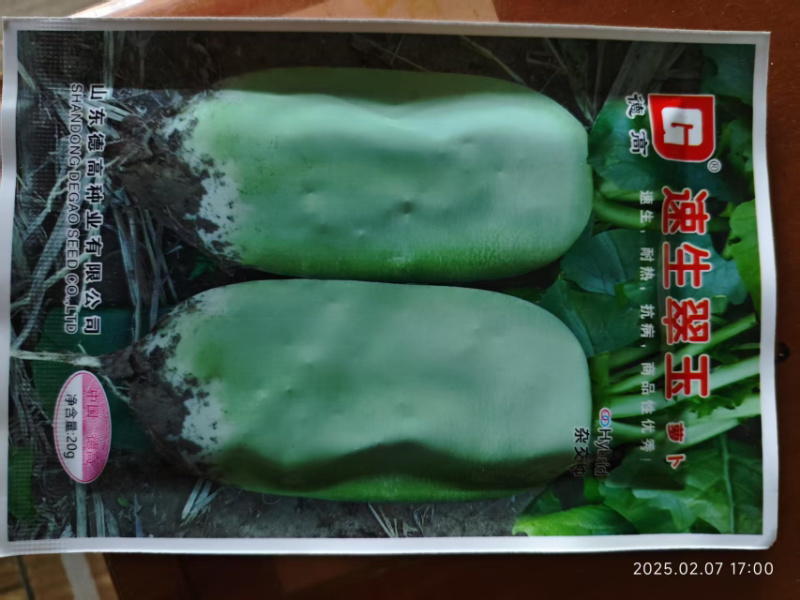 速生翠玉萝卜种