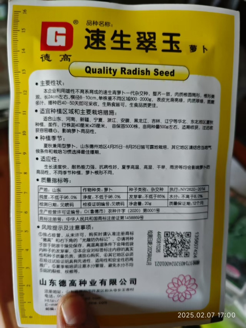 速生翠玉萝卜种