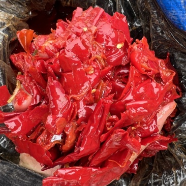 精品去帽大块型皮皮酱