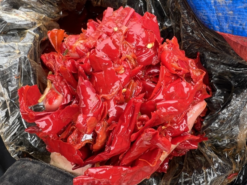 精品去帽大块型皮皮酱