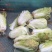 新鲜黄心白菜，健康，口感脆嫩，营养丰富，家庭餐桌