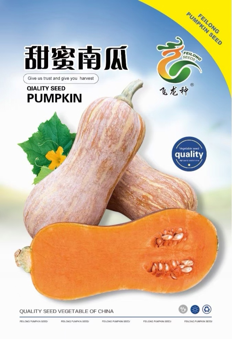 南瓜种子甜蜜南瓜高产高品质小型花生南瓜