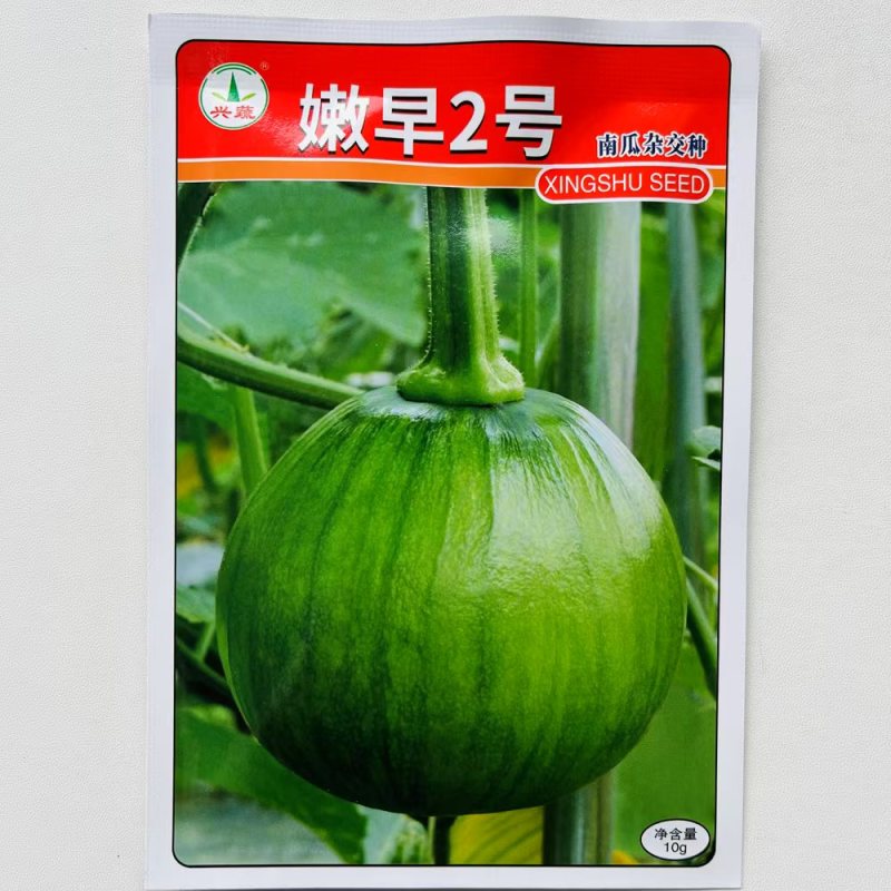 兴蔬嫩早2号早熟嫩南瓜种子小南瓜小青瓜种子大田基地蔬