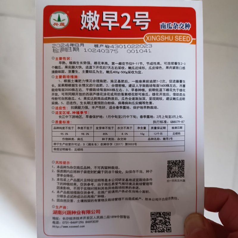 兴蔬嫩早2号早熟嫩南瓜种子小南瓜小青瓜种子大田基地蔬