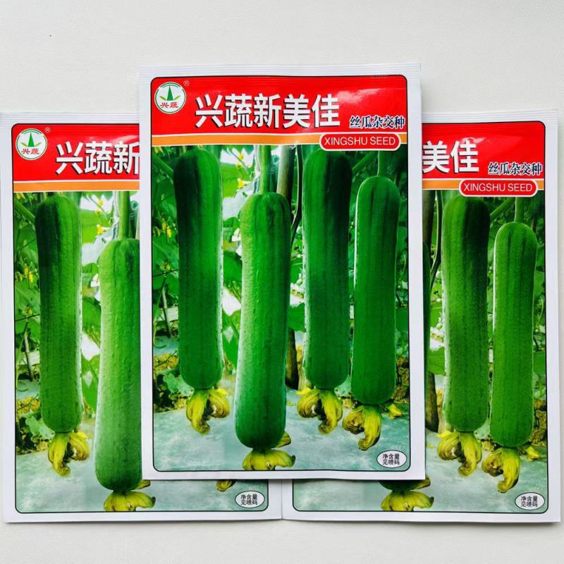 兴蔬新美佳丝瓜种子早熟高产杂交丝瓜种籽农家田园四季蔬菜种