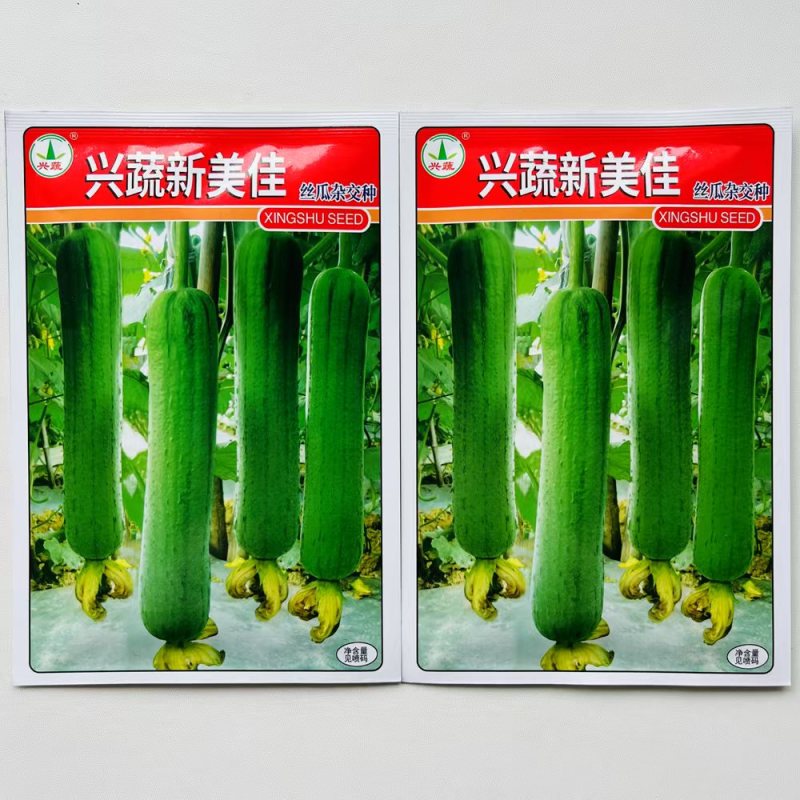 兴蔬新美佳丝瓜种子早熟高产杂交丝瓜种籽农家田园四季蔬菜种