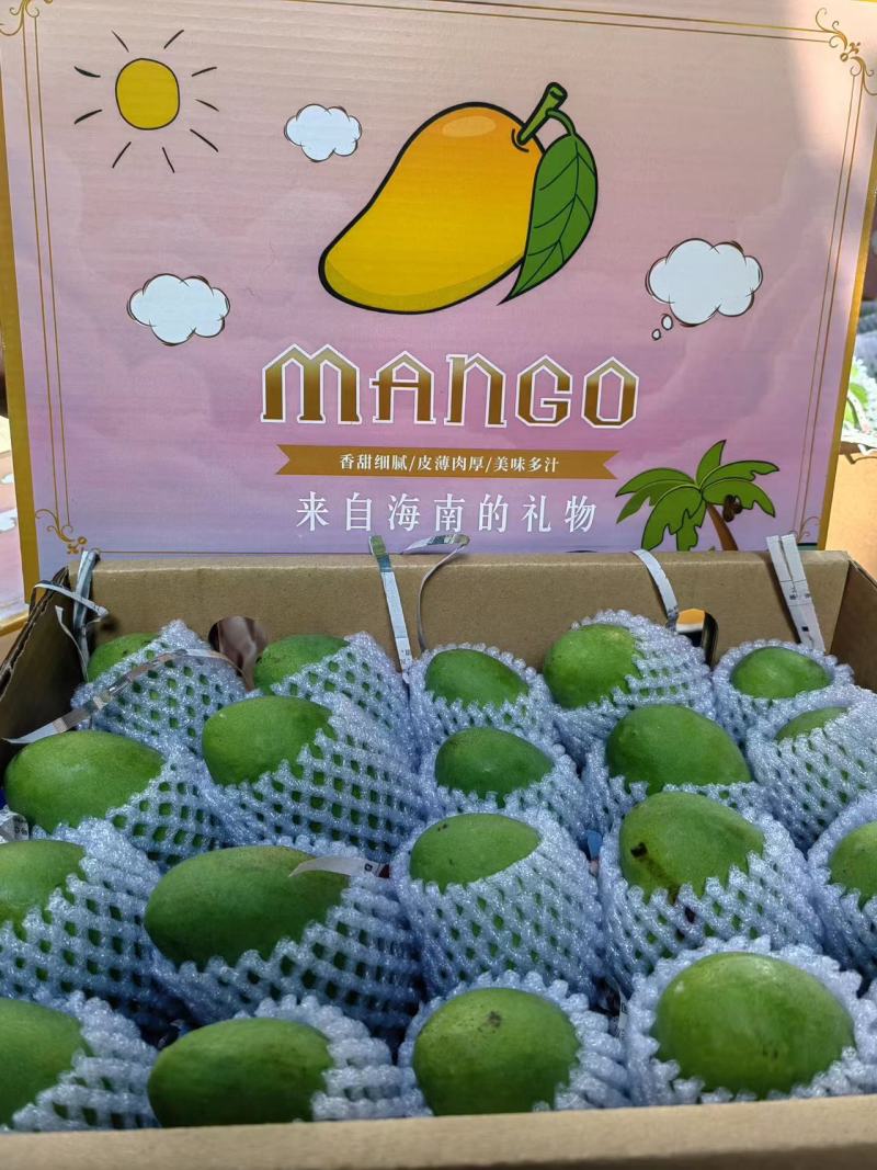 海南金煌芒
