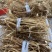 粤北高山五指毛桃，无硫干货香味浓工厂直发