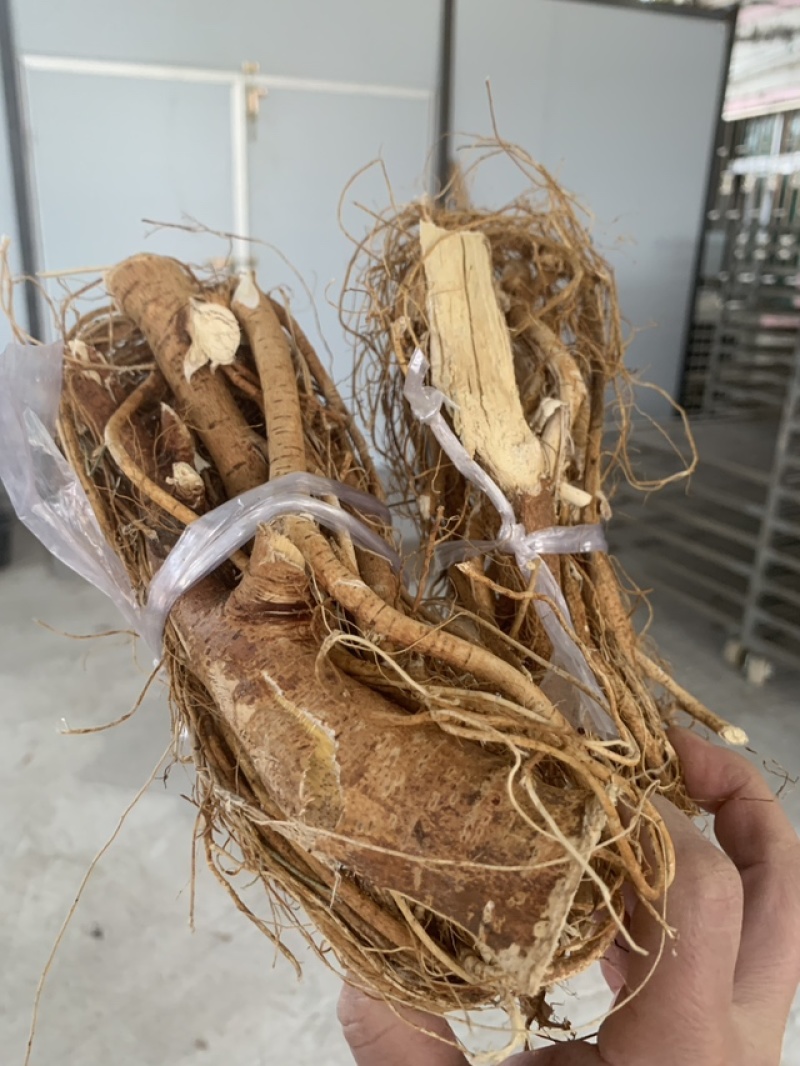 粤北高山五指毛桃，无硫干货香味浓工厂直发