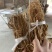 粤北高山五指毛桃，无硫干货香味浓工厂直发