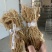 粤北高山五指毛桃，无硫干货香味浓工厂直发