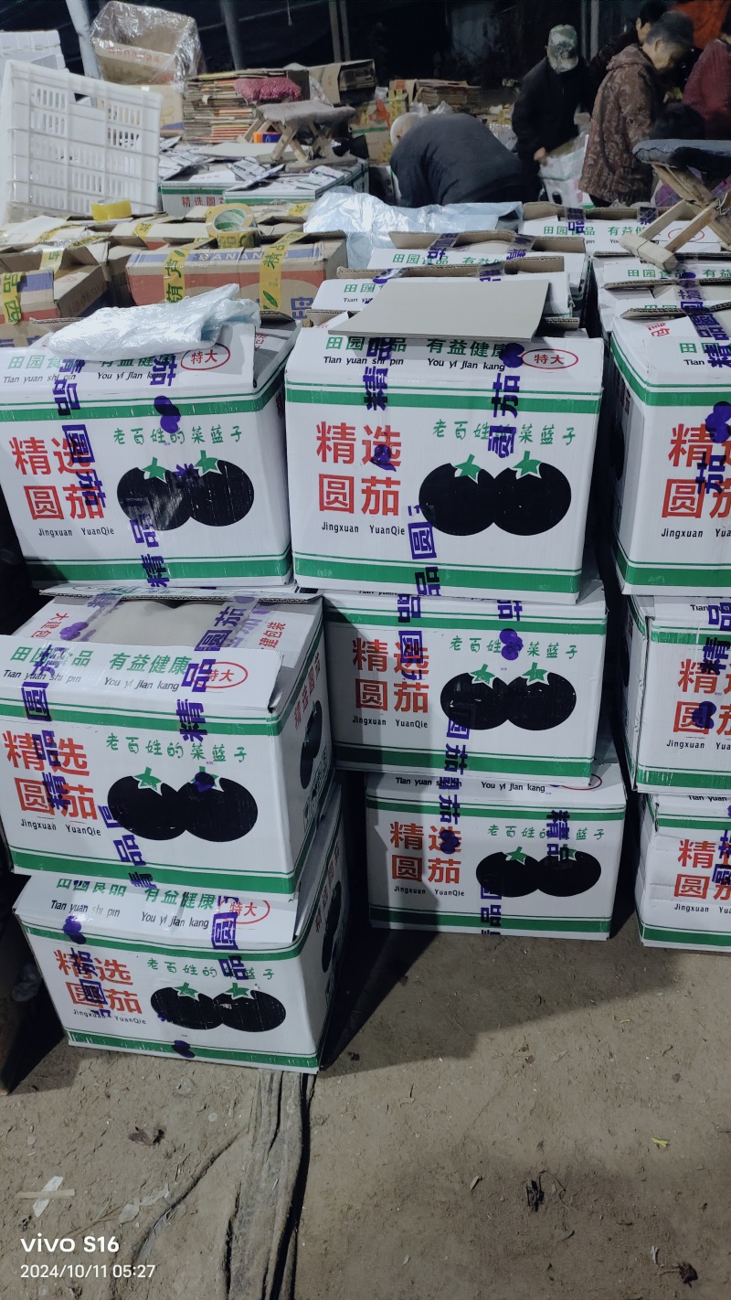产地紫光圆茄，蔬菜市场超市电商平台大量供货。