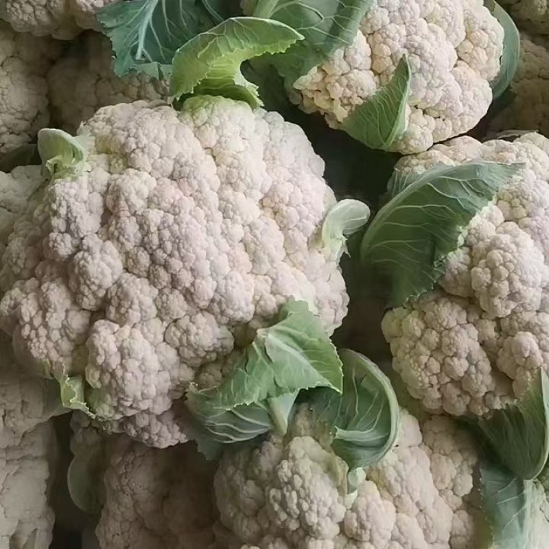 产地直发有机菜花大量供货蔬菜市场，超市。电商平台