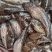 湖南湘西精品鲜活沙塘鳢大量有货价格优惠