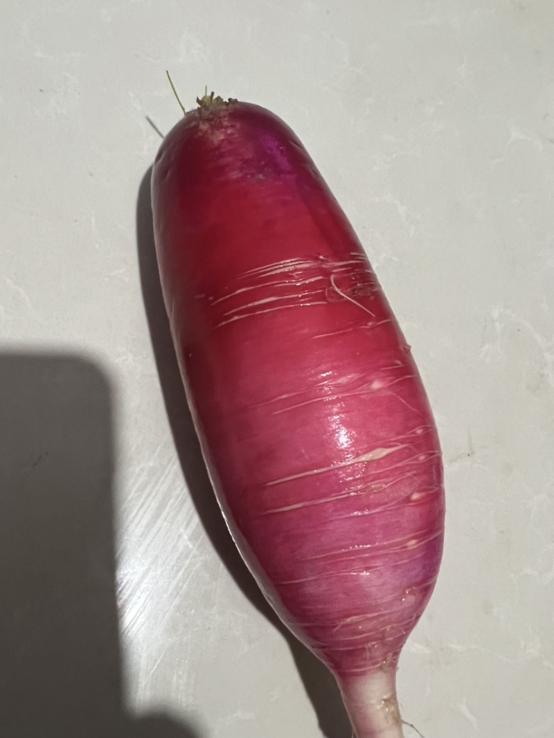 水萝卜大量上市