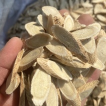 野生黄芩/黄芩片/自家加工/20年老店/一件也是批发价