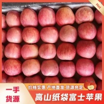 {专业代办}精品高山纸袋红富士。产地直发，量大从优。