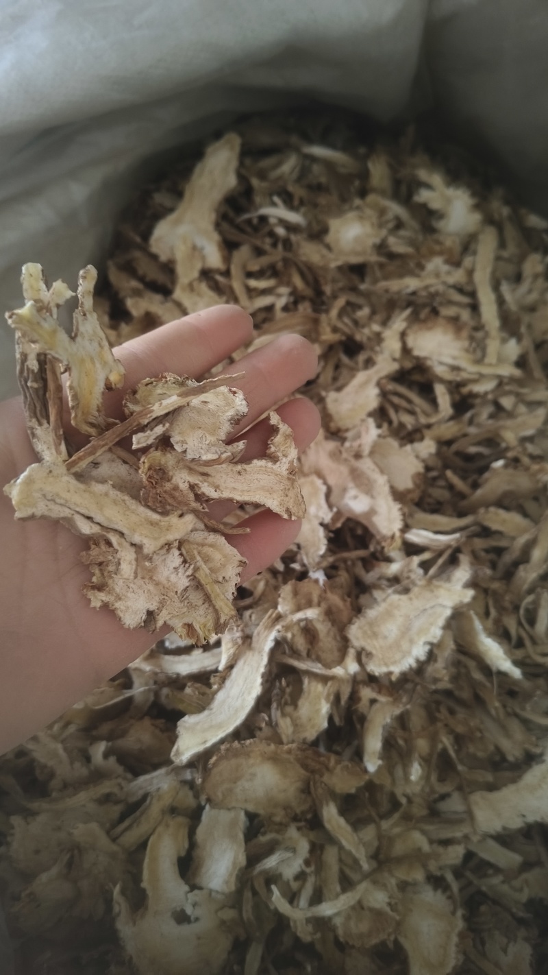 《云当归》产地直销货源充足量大从优